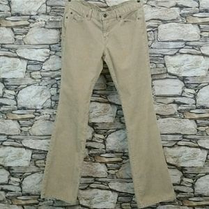Tan Corduroy Modern Boot Jeans Ann Taylor LOFT 10